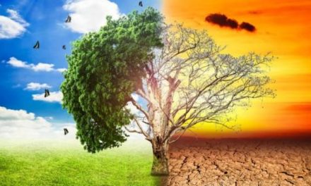 Perubahan Iklim Dan Dampaknya Pada Kehidupan Manusia